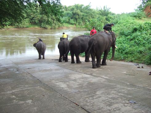 DSCF6867.JPG