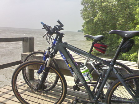 111020081047a.jpg