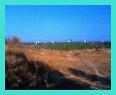 03-03-10-track2.jpg