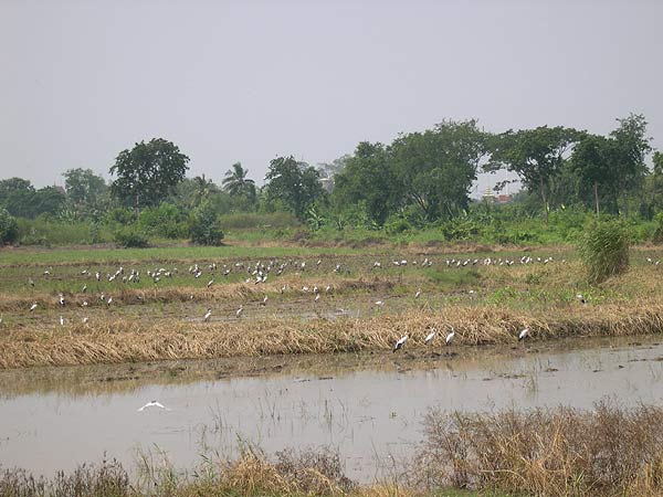 DSCN7712.jpg