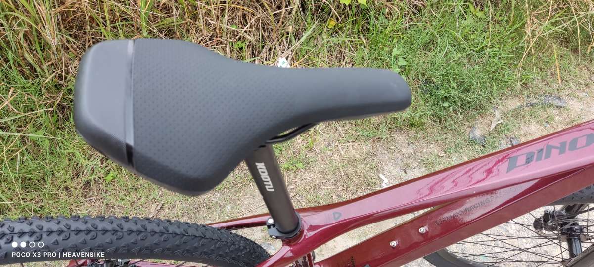 Dino MTB 29