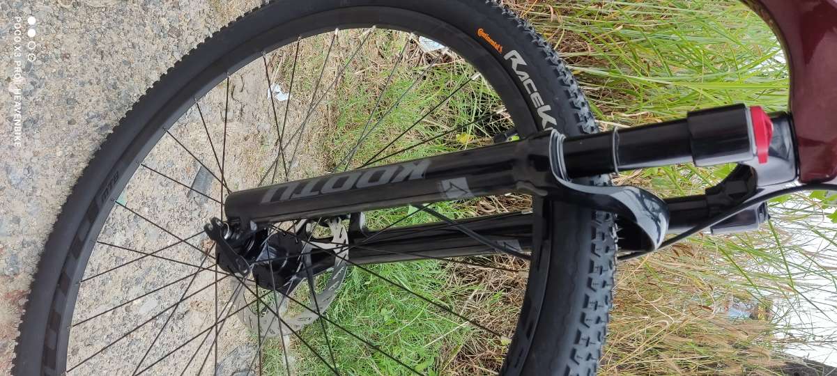 Dino MTB 29