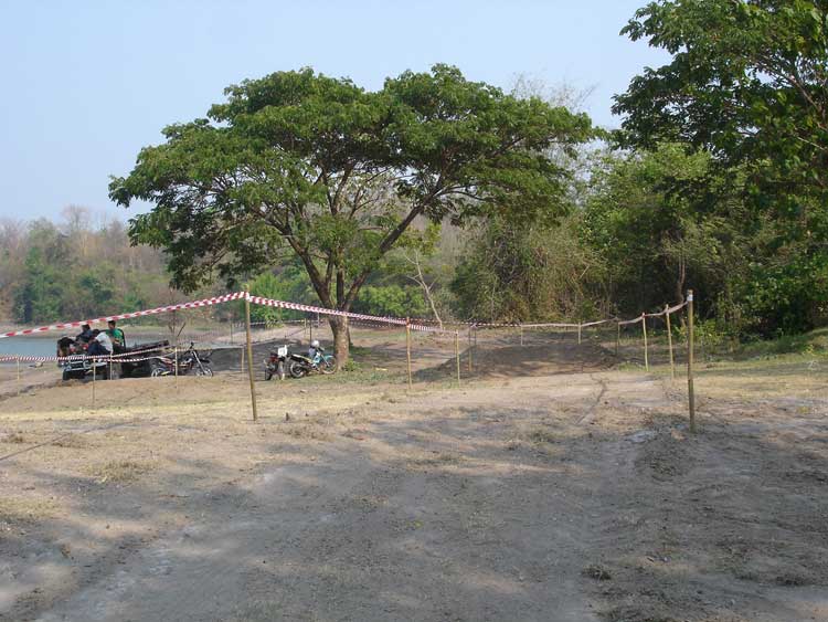 d19.jpg
