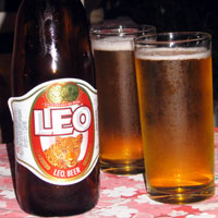 leo-beer.jpg